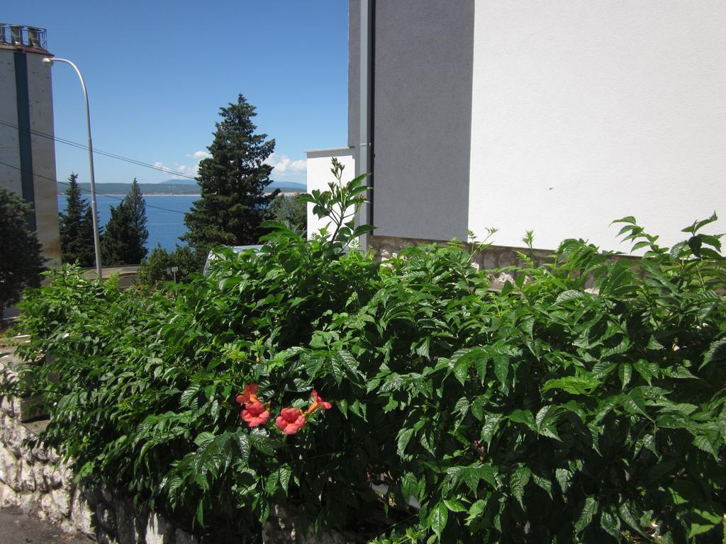 Apartment Lana Crikvenica Dış mekan fotoğraf